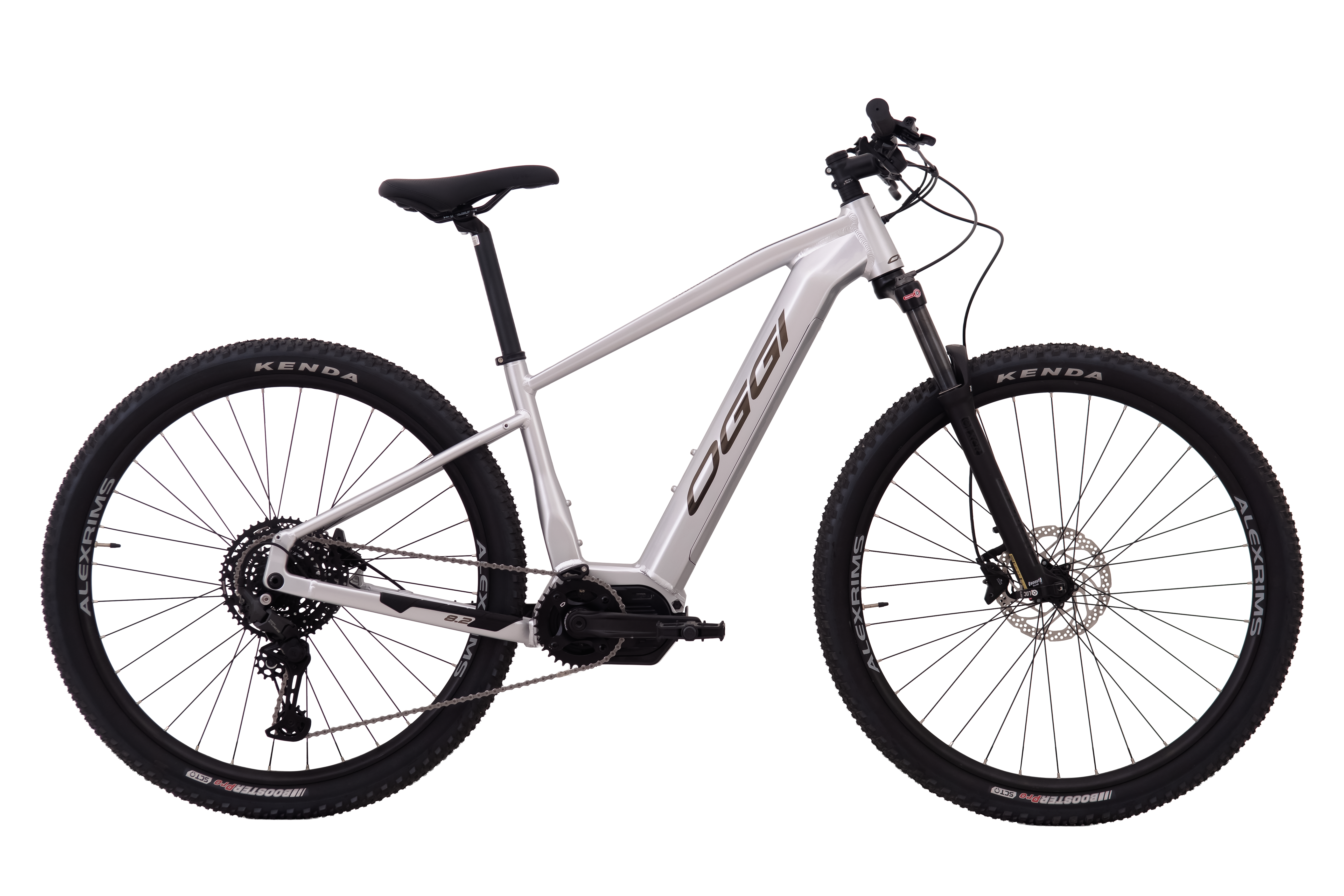 E-Bike Big Wheel 8.2 - Oggi